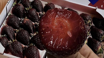 Sự thật trái dâu tây màu đen đang gây sốt mạng xã hội Trung Quốc