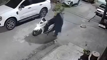 Video hài nhất tuần qua: Đi Sh trộm cây kiểng bị 'nghiệp quật'