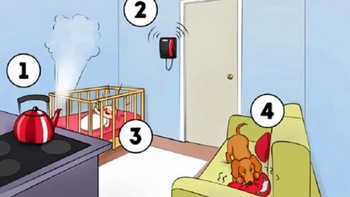 Quiz: Bạn tháo vát, giàu lòng vị tha hay người linh hoạt, khéo léo