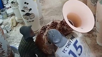 Thanh niên xanh mặt vì suýt làm vỡ bình gốm đắt tiền