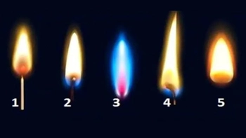 Quiz: Nỗi sợ hãi lớn nhất của bạn là gì?