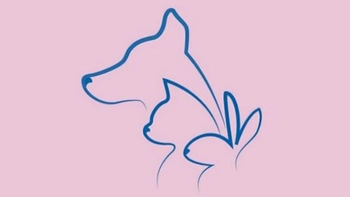 Quiz: Bạn có trách nhiệm cao hay là người tốt bụng, hào phóng