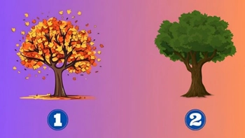 Quiz: Bạn đang che giấu điều gì ở bản thân?