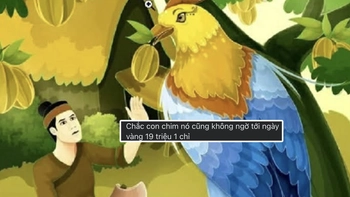 Giữa lúc giá vàng sục sôi, netizen kéo đi trồng khế, vì sao thế?