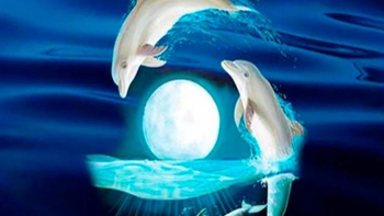 Quiz: Bạn sở hữu tố chất lãnh đạo bẩm sinh hay là người nhạy cảm