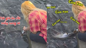 Cô gái đút từng muỗng thức ăn cho cá như đút cho em bé