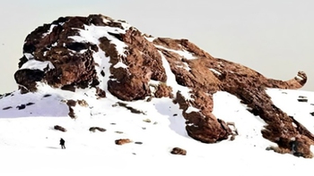 Quiz: Bạn là người rất coi trọng lời hứa và sự cam kết?