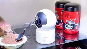 Bí kíp giúp dân nuôi cá kiểng an tâm đi chơi Tết