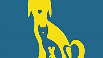 Quiz: Bạn yêu sự giản dị, yên bình hay là người điềm đạm