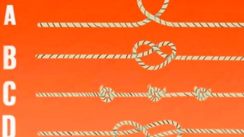 Quiz: Bạn tư duy sắc bén hay là người có năng khiếu giảng dạy