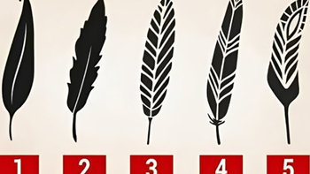 Quiz: Bạn sở hữu khả năng suy luận sắc bén hay là người cầu toàn?