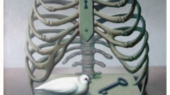 Quiz: Hé lộ bí mật nội tâm chỉ qua một ánh nhìn