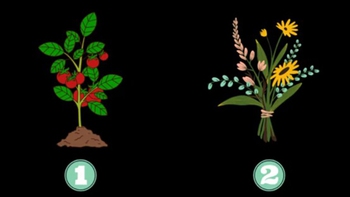 Quiz: Bạn đang ở giai đoạn nào của hành trình chăm sóc bản thân