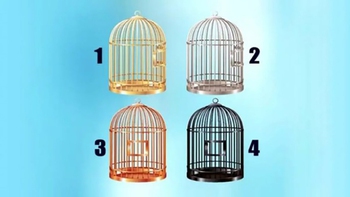 Quiz: Bạn thận trọng, thực tế hay là người coi trọng giá trị tinh thần