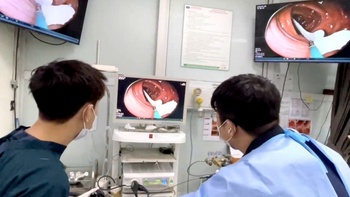 Sụt 2kg trong 2 tuần, phát hiện sán dây lợn dài gần 1m trong ruột