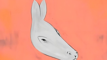 Quiz: Điều bạn mong muốn ở tương lai là gì?