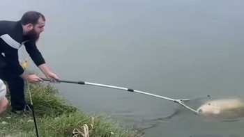 Cần thủ chán không buồn nói khi để sổng cá khủng