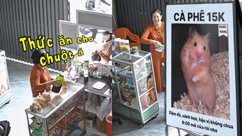 Tiệm cà phê bất ngờ hút khách mua thức ăn cho... chuột