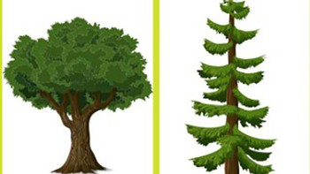 Quiz: Những điểm độc đáo trong tính cách của bạn là gì?