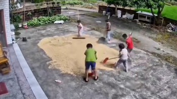 Các em nhỏ giúp nhau dọn lúa chạy mưa khi người lớn vắng nhà