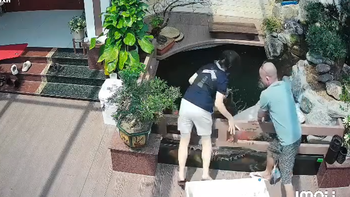 Chị gái 'hóa tiên cá' vì gia chủ làm tiểu cảnh không chắc chắn