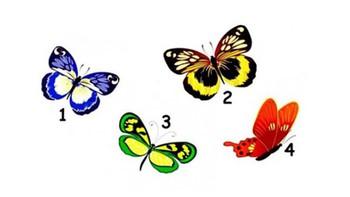 Quiz: Điều gì thu hút tâm hồn bạn nhất?