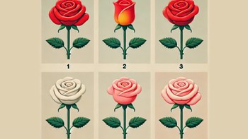 Quiz: Bạn là người thế nào?