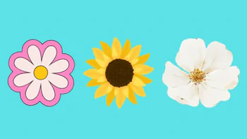 Quiz: Đức tính tuyệt vời nhất của bạn là gì?