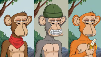 Quiz: Bạn nổi bật bởi sự sáng tạo hay trực giác nhạy bén?