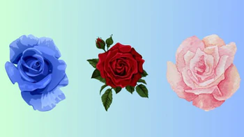 Quiz: Bạn đời lý tưởng của bạn có những phẩm chất gì?