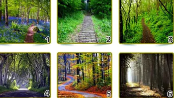 Quiz: Tính cách nổi bật nhất của bạn là gì?