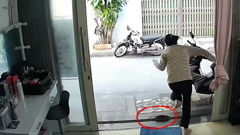 Chú chuột hư hỏng