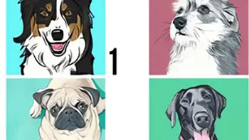 Quiz: Bạn là người như thế nào?