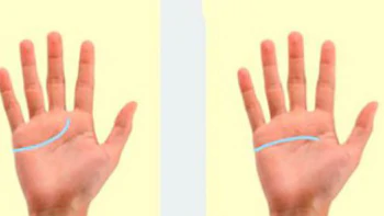 Quiz: Đường chỉ tay tiết lộ điều gì về tính cách của bạn?