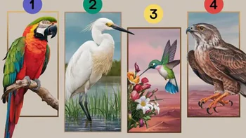 Quiz: Đâu là phẩm chất nổi bật nhất của bạn?