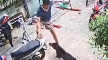 Thanh niên phản xạ cực nhanh khi gặp 'cậu vàng' khó tính