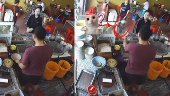 Chủ quán tung mì thể hiện tay nghề với hai nữ nhân viên... và cái kết