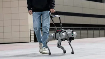 Công ty này đang tuyển người dắt chó robot đi dạo, lương lên đến 3 triệu/ca
