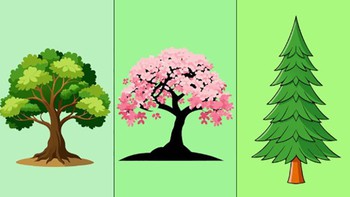 Quiz: Yếu tố nào giúp bạn đạt được thành công?