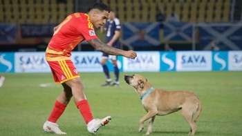 Trận đấu Nations League bị gián đoạn vì... chú chó đi dạo