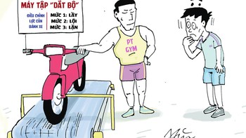 Ba mức tập gym 'bao phê' cho dân văn phòng