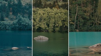 Quiz: Bạn thích nhất điều gì?