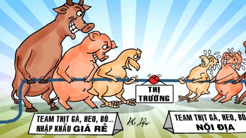 Thịt nhập giá rẻ kéo căng sợi dây thị trường