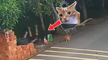 Ngã chổng vó xuống kênh vì ngồi chung võng