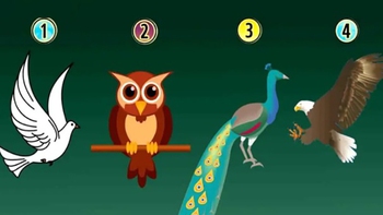 Quiz: Bạn cẩn thận, tỉ mỉ hay là người tràn đầy năng lượng