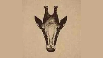 Quiz: Bạn có tầm nhìn xa hay là người thân thiện