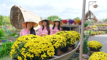 Làng hoa, làng nghề, khu du lịch ở Đồng Tháp vào mùa Tết