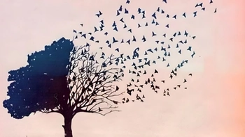 Quiz: Bạn là người chân thành và sống thực tế?