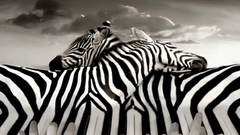 Quiz: Bạn là người có lập trường vững vàng?