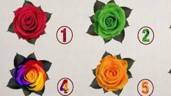 Quiz: Bạn là người kỷ luật hay tham vọng, nhiệt huyết?